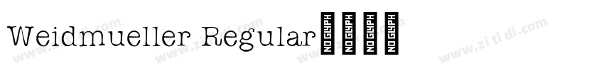 Weidmueller Regular字体转换